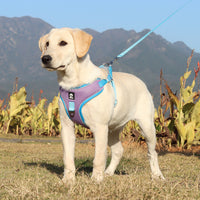 Adjustable dog harness leash
No-pull pet harness with leash
Dog harness and leash set
Comfort fit pet harness leash
Reflective adjustable harness leash
