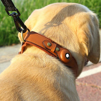 GPS Pet Tracker Collar
Smart Pet Location Collar
Real-Time Dog Tracker Device
Waterproof Pet GPS Collar
Bluetooth Pet Tracking Collar
