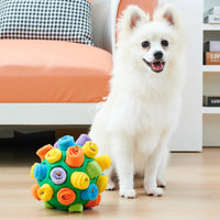 Dog Puzzle Ball Toy
Interactive Sniffing Toy
Dog Scent Puzzle Toy
Snuffle Ball for Dogs
Mental Stimulation Dog Toy