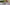 Load video: &lt;p&gt;YOUR PET’S NEW FAVORITE STORE&lt;/p&gt;